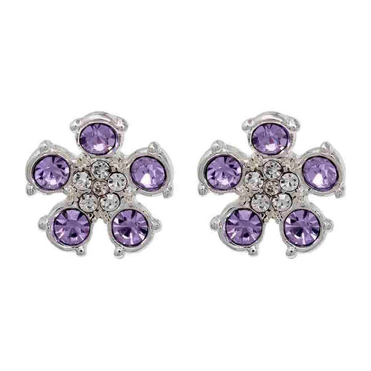 Aretes Napier NP17E00503