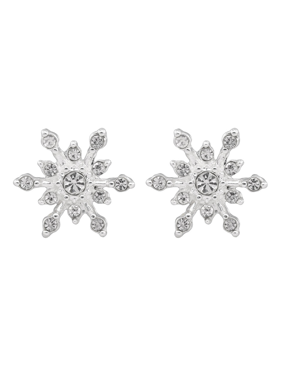 Aretes Napier Color Plateado 17G02713 Para Dama