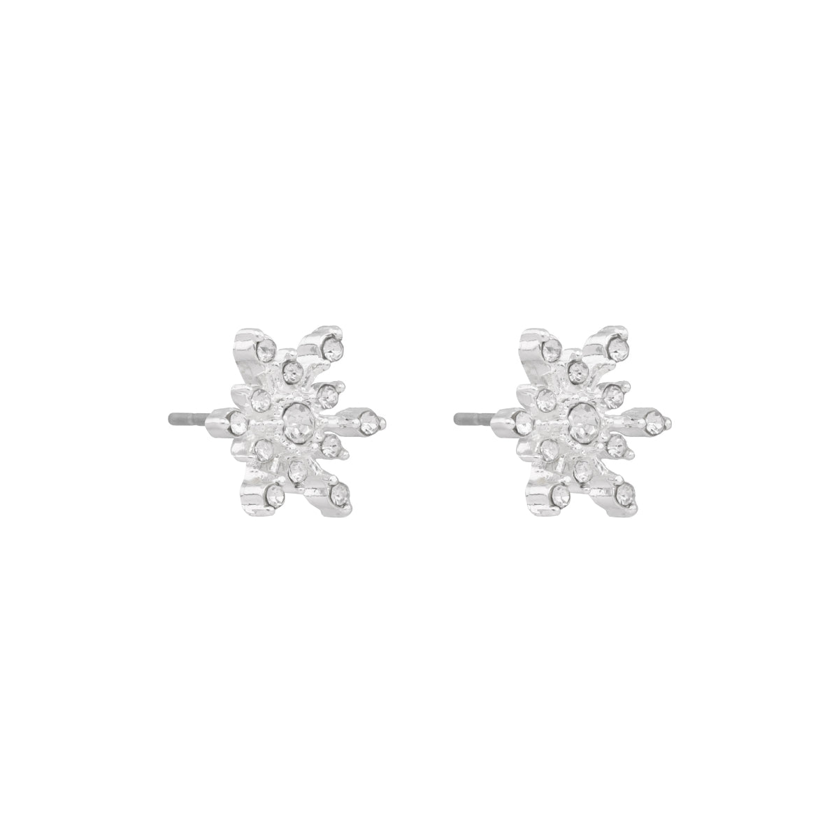 Aretes Napier Color Plateado 17G02713 Para Dama