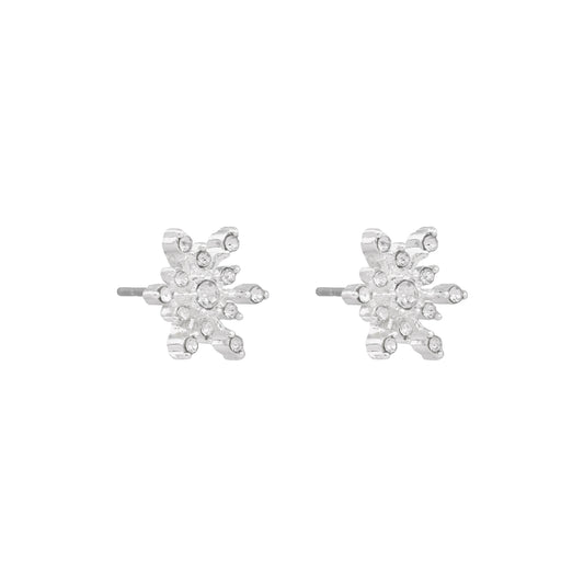 Aretes Napier Color Plateado 17G02713 Para Dama