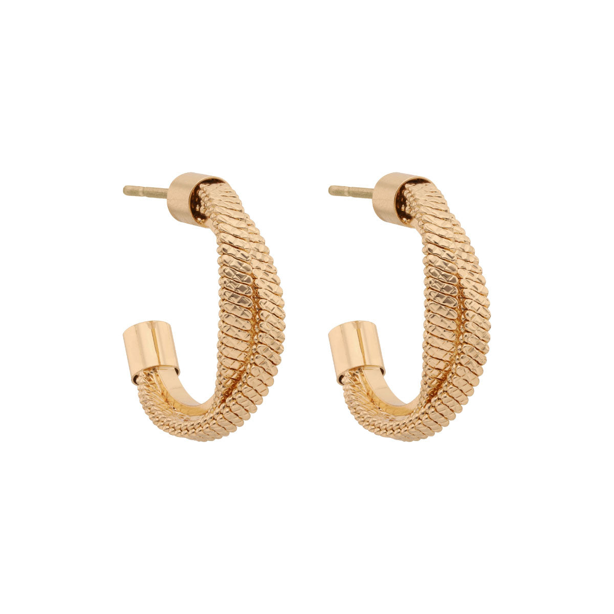 Aretes Napier Color Dorado 17G03100 Para Dama