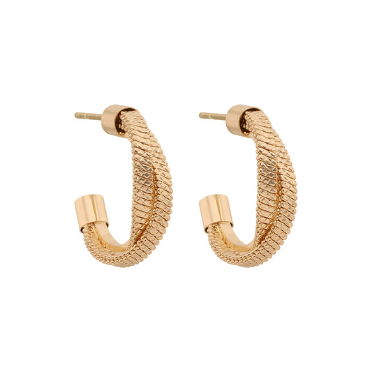 Aretes Napier Color Dorado 17G03100 Para Dama