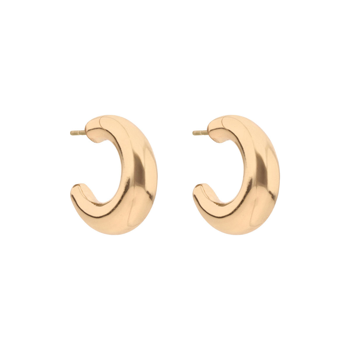 Aretes Napier Color Dorado 17G03233 Para Dama