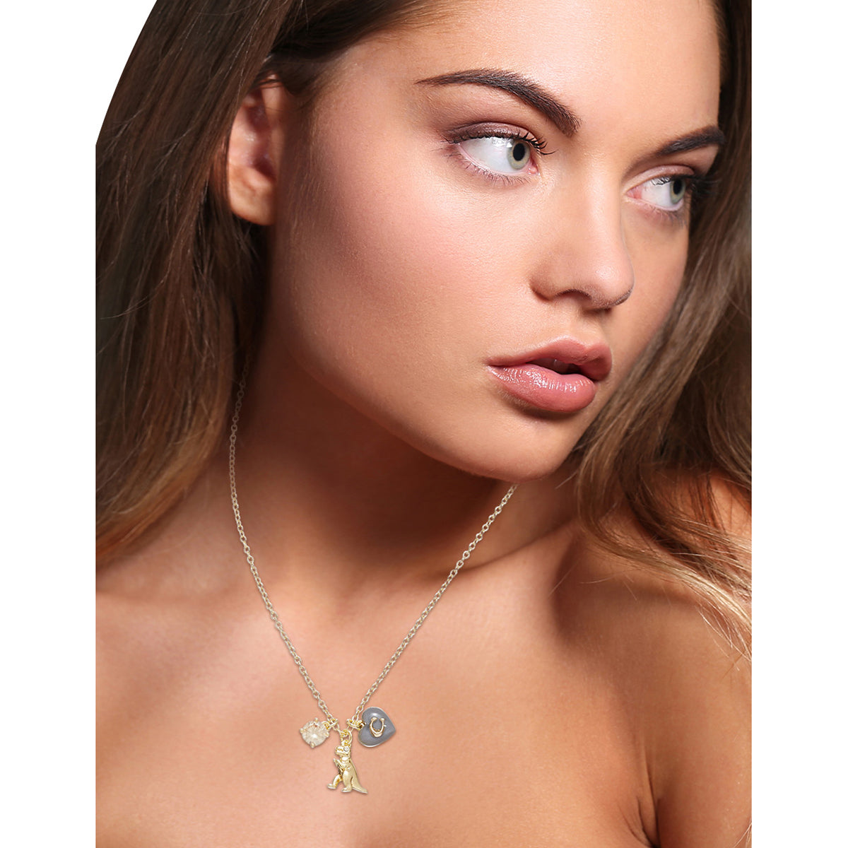 Collar Coach 37422710GLD681